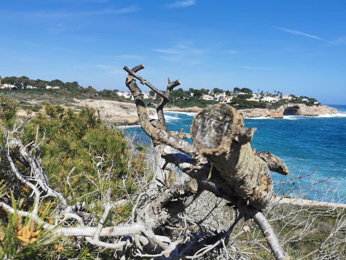 Finca Sa Fuente Felanitx Eksteriør bilde